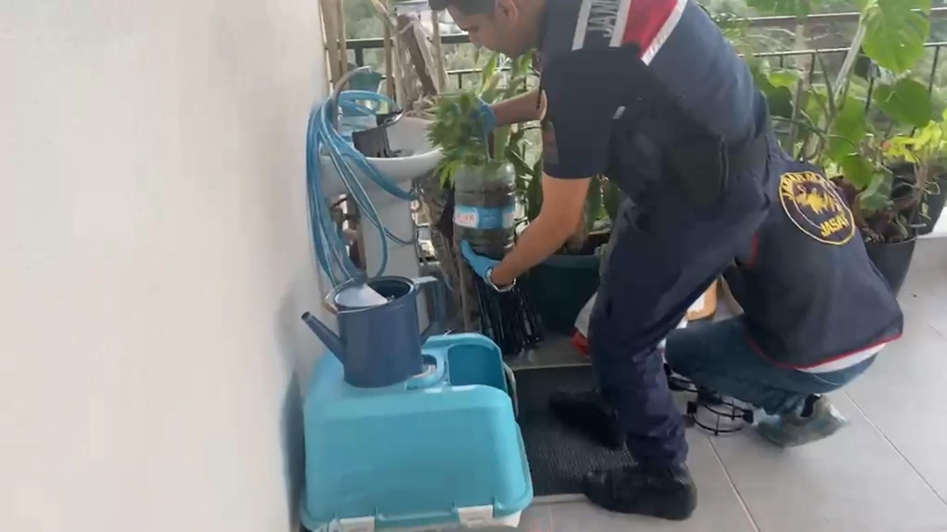 Jandarmadan zehir tacirlerine darbe! 5 ilde ‘uyuşturucu’ operasyonu: 341 gözaltı