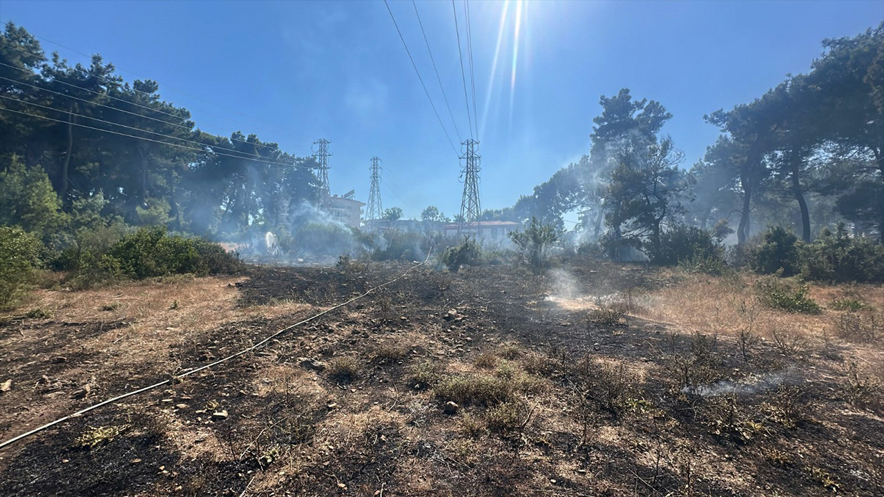Antalya’da ormanlık alanda çıkan yangın büyümeden söndürüldü Img